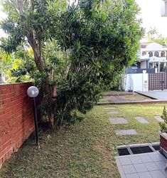 Shamrock Park (D10), Semi-Detached #579126801